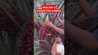 Berbagai Karakter Kurma storywa kurma islamicstatus wisataislami umroh haji makkahmadinah [upl. by Fishback]