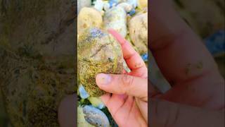 Amazing lake superior rocks agate stone hunting 358 youtubeshorts agatehunting crystalhunting [upl. by Lednor957]