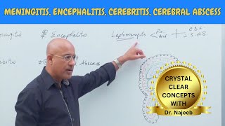 Difference Between Meningitis  Encephalitis  Cerebritis  Cerebral Abscess🩺 [upl. by Inahpit]