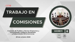 Pueblos y Barrios Originarios y Comunidades Indígenas Residentes y Comunidades Afromexicanas [upl. by Ntisuj]