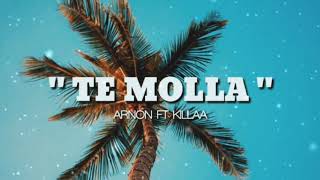 TE MOLLA  ARNON FT KILLUA LYRICS [upl. by Tamma]