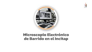 Microscopio Electrónico de Barrido en el Incitap [upl. by Dorcy]