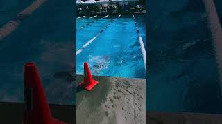 Swim edit swimmin swimmeet pool competitiveswimming [upl. by Willdon586]