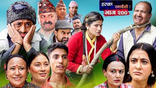 Halka Ramailo  Episode 200  15 October  2023  Balchhi Dhurbe Raju Master  Nepali Comedy [upl. by Yriek86]