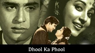 Dhool Ka Phool 1959 133365 Bollywood Centenary [upl. by Caitlin]