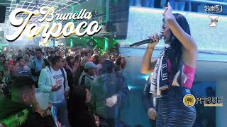 BRUNELLA TORPOCO ft Son Latino Orquesta ♫♫ Argentina 2022 Cuchi amp Papuchi Internacional [upl. by Ramirol]