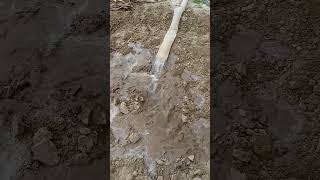 Flood irrigationAgricultureFarming nature farming agriculture [upl. by Sonahpets]