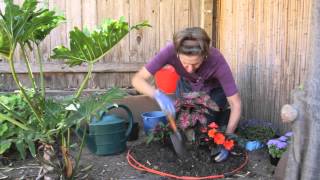 How to Plant a Round Flower Bed Full of Annuals  Beautiful Gardens amp Plant Care [upl. by Atazroglam]