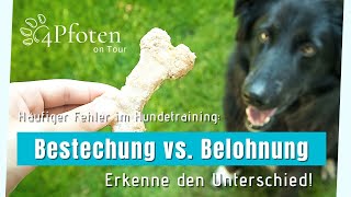 Bestechung oder Belohnung  Erkenne den Unterschied [upl. by Ingram]