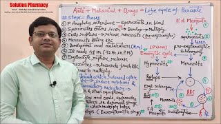 Topic 22 Antimalarial Drugs  Life Cycle of Malaria and Classification of Antimalarial Drugs [upl. by Naeruat257]