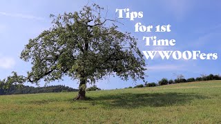 WWOOF  10 Tips for 1st Time WWOOFers [upl. by Ivers]