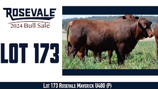 Lot 173 Rosevale Maverick U480 P [upl. by Yelac]