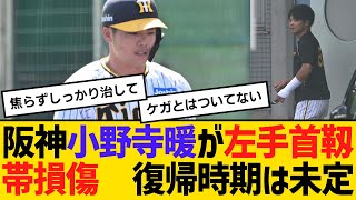 阪神・小野寺暖が左手首靱帯損傷 復帰時期は未定 【ネットの反応】【反応集】 [upl. by Cusack]