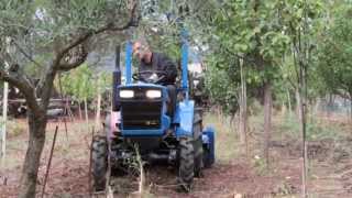 trattore usato Iseki tx1500 prova con fresa iseki CavallieCavalli macchine agricole Sardegna [upl. by Affra]