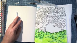 WIP USING CHROMATEK Watercolor Brush Pens in Woodland Watercolor PART 2 [upl. by Flyn504]