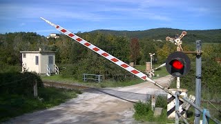 Spoorwegovergang Rapolano Terme I  Railroad crossing  Passaggio a livello [upl. by Leamaj]