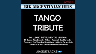 Mi Buenos Aires Querido Instrumental Version In The Style Of Argentinian Tango [upl. by Notreve805]