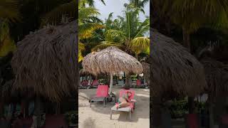 🇩🇴 Catalonia Bavaro Beach Punta Cana Dominican Rep 🌴playa bavaro turismo holydays beach summer [upl. by Doble]