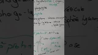 lysosome et peroxysomehydrolase acide Vs oxydases et catalasessac membraneux et forme sphérique [upl. by Ytsim]