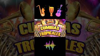 CUMBIAS TROPICALES LO MÁS NUEVO 2024🎉 TROPICAL DEL BRAVOLOS KARKIKS 🍉TROPICALES MIX PARA BAILAR [upl. by Tigges535]