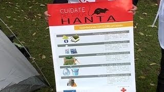 Inician campaña para prevenir virus Hanta [upl. by Biagi471]