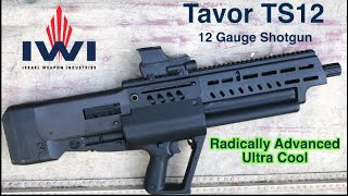 Radically Advanced Bullpup Shotgun — IWI Tavor TS12 [upl. by Nauqan]