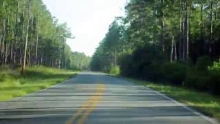 A Peaceful Drive through the Majestic Apalachicola National Forest during a Beautiful Florida sunset [upl. by Grubman]