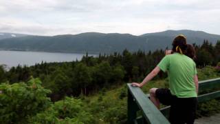 Outdoor Adventures Wild Flowers  Newfoundland and Labrador Canada [upl. by Anirat]