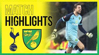 HIGHLIGHTS  Tottenham Hotspur 11 Norwich City AET 23 Pens  Tim Kruls Penalty Shootout Heroics [upl. by Inus307]