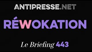 RÉWOKATION 2452024 — Le briefing avec Slobodan Despot [upl. by Minsat]