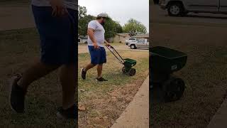 Overseeding my neglected side lawn gardening lawncare lawnmaintenance grass lawn [upl. by Pearson]