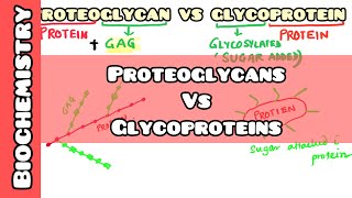 Proteoglycan VS Glycoproteins easy explanation for USMLE NEET PG INICET NCLEX [upl. by Ming]