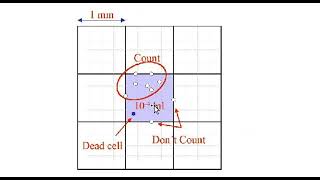 NEUBAUER CHAMBER  HAEMATOLOGY LAB  Physiology Lab Practical [upl. by Ittak]