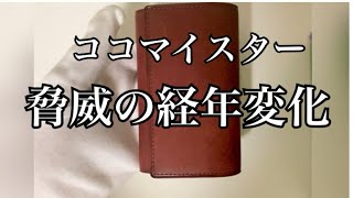 ココマイスターの革小物 経年変化がすごい ゴールドマイニング アレッジドウォレット 革小物 革財布 ココマイスター 経年変化 プエブロレザー メンズ コンパクト財布 本革 プエブロ [upl. by Nic]