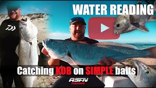 Catch kob on chokkasardine Baits  Water Reading  ASFN Rock amp Surf [upl. by Laroy]