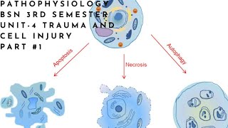 Pathophysiology  BSN 3rd semester  Unit4  Trauma amp cell injury  part 1 [upl. by Eissej]