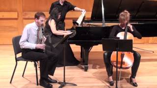 Brahms Clarinet Trio A minor  mvt 1 [upl. by Oetsira908]