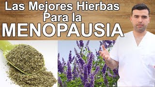 Las Mejores Hierbas Para la Menopausia [upl. by Hibbitts]