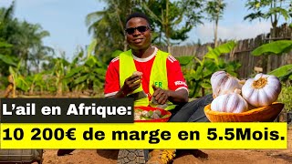 Lail en Afrique 10 200€ de marge en 55 Mois [upl. by Zurc]