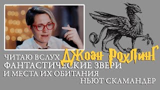 Джоан Роулинг  Фантастические звери и места их обитания Ньют Скамандер Чтение вслух 1 [upl. by Bettina]