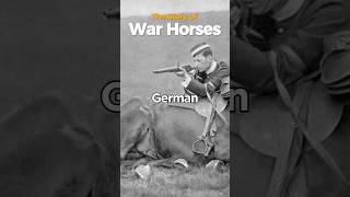 Sorrow of Warhorses historicalstory history historicalanecdotes historicalshorts [upl. by Tallu]