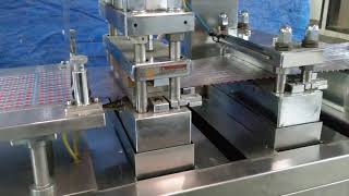 Flat Plate Blister Packing Machine  ALBLISII with Coated Tablets Feeding [upl. by Theron180]