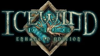 Icewind Dale  Enhanced Edition  Yxunomei Solo Sorcerer on Insane Difficulty [upl. by Gnort920]