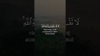 Surah Zumar  Sameer Ezzat  Dhikrullah  Malayalam Translation [upl. by Alyaj269]