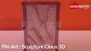 Pin Art  Sculpture Clous 3D [upl. by Adnovad]