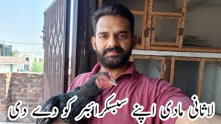 Lasani maadi sale kr di hai  lasani madi ki video  mainwali lasani maadi video [upl. by Aiclid]