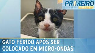 Gato fica ferido após ser colocado em microondas por criança  Primeiro Impacto 030524 [upl. by Romelda]