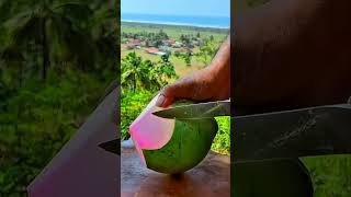 Its hot like this its delicious to drink unripened coconut [upl. by Akirej]