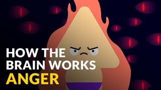 How The Brain Works With Anger [upl. by Akins]