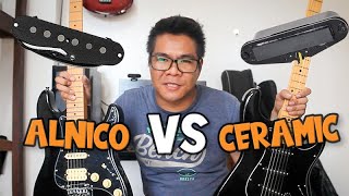 ALNICO vs CERAMIC PICKUPS  Clifton Maestro vs Tokai Custom Edition Strat tone comparison [upl. by Eldorado81]